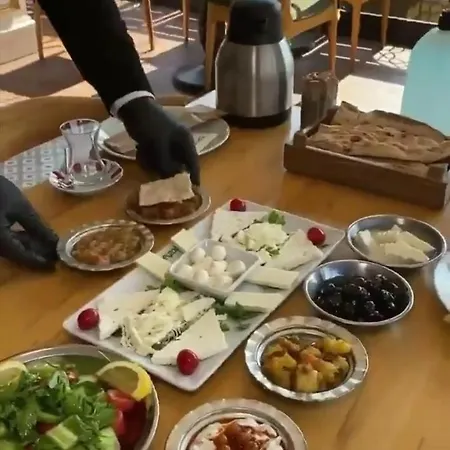 Camelia Bed and breakfast