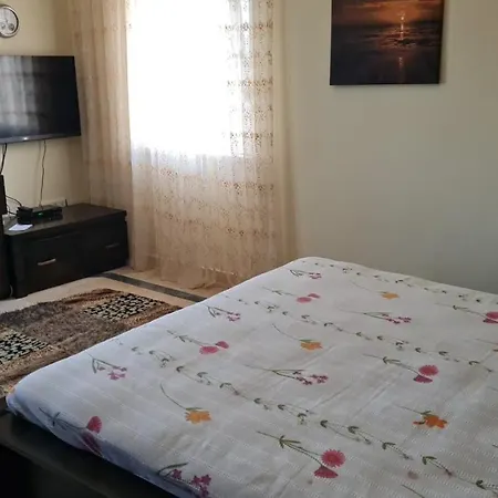 Camelia Bed and Breakfast *