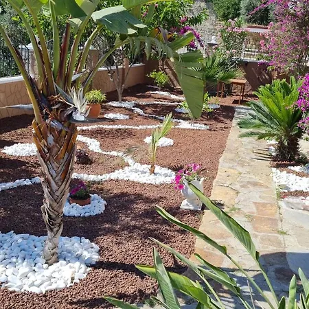 Bed & Breakfast Camelia Alanya