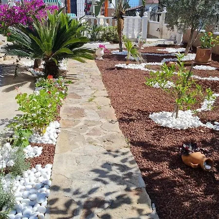 Camelia Alanya