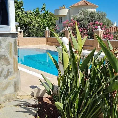 Camelia Bed & Breakfast *