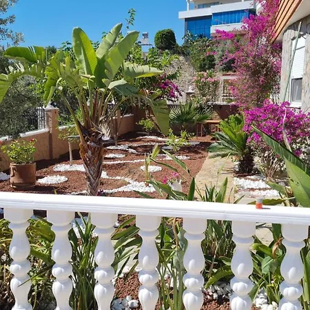 Camelia Bed & Breakfast *